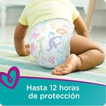 Pa-ales-Desechables-Pampers-Cruisers-Talla-3-74-Unidades-7-28118