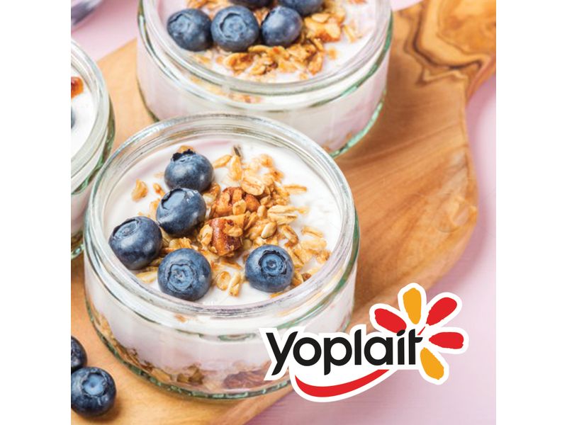 Yogurt-Yoplait-Arandanos-Light-750Ml-2-26731