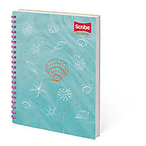 Cuaderno Edo Pro Pd Ray 100H Master F 50P