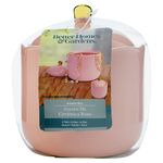Joyero-Better-Home-Forma-Avellana-Rosa-M-1-70485