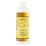 Natural-Jarabe-Jengibre-C-Miel-240Ml-3-50293