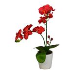 Orquidea-En-Cermica-1-66229
