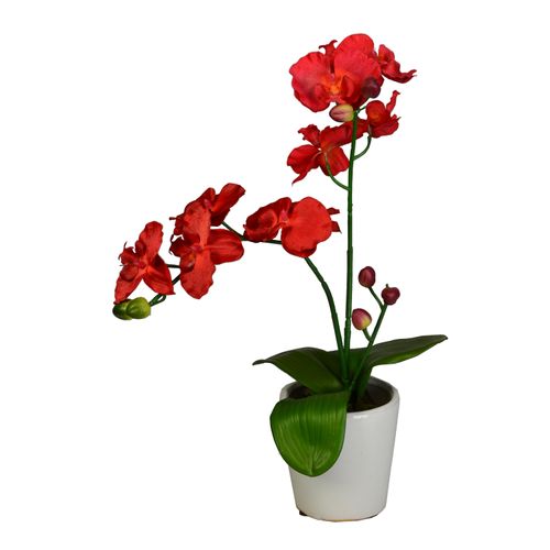 Orquidea En Cermica