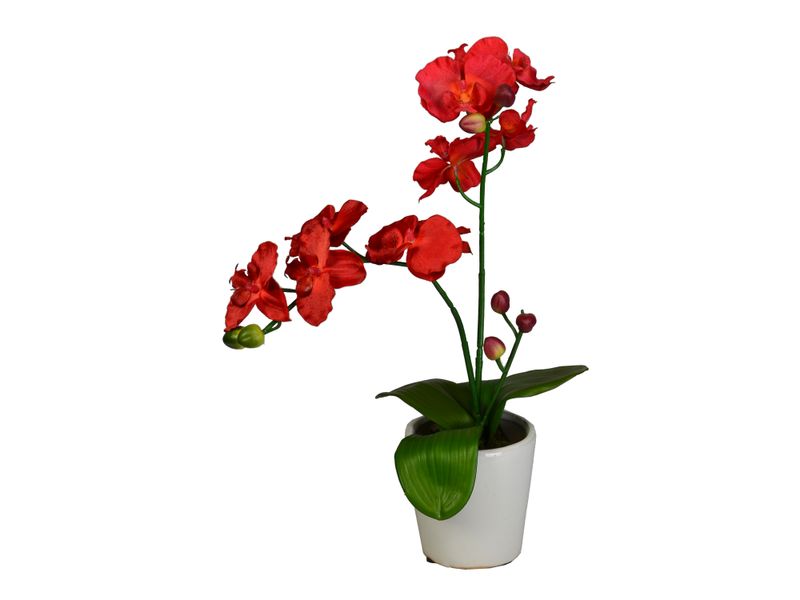 Orquidea-En-Cermica-1-66229