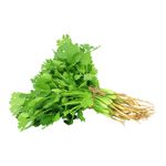 Culantro-Empacado-Bolsa-1-63942