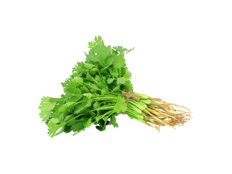 Culantro-Empacado-Bolsa-1-63942