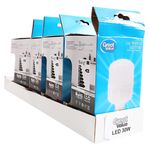 Bombillo-Great-Value-de-Led-T100-Luz-Blanca-100-240v-30-Watts-15-49796