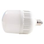 Bombillo-Great-Value-de-Led-T100-Luz-Blanca-100-240v-30-Watts-2-49796