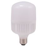Bombillo-Great-Value-de-Led-T100-Luz-Blanca-100-240v-30-Watts-1-49796