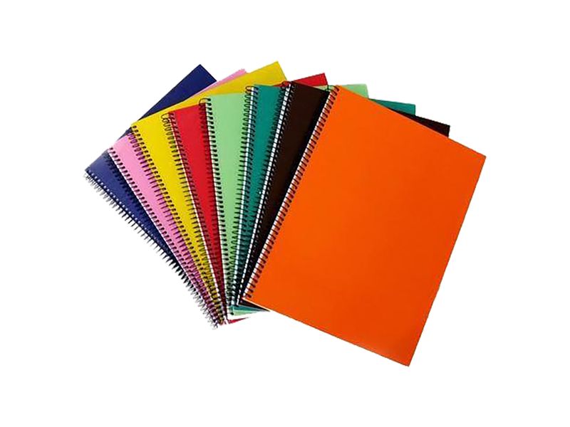 Cuaderno-Espiral-100-Dibujo-Surt-Color-2-71603