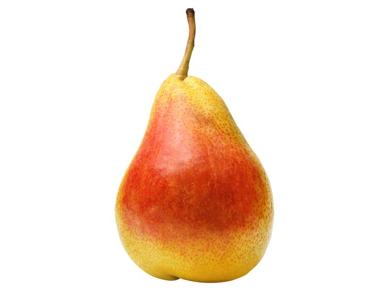 Pera-Forell-Kg-1-65855