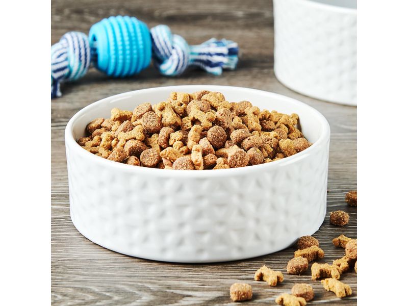 Alimento-Ol-Roy-Seco-Cachorro-1800-gr-2-68276