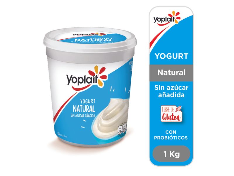 Yogurt-Yoplait-Natural-1000Gr-1-33759