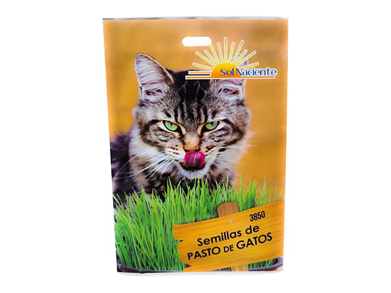 Semillas-Hierba-Para-Gatos-Sol-Naciente-1-73519