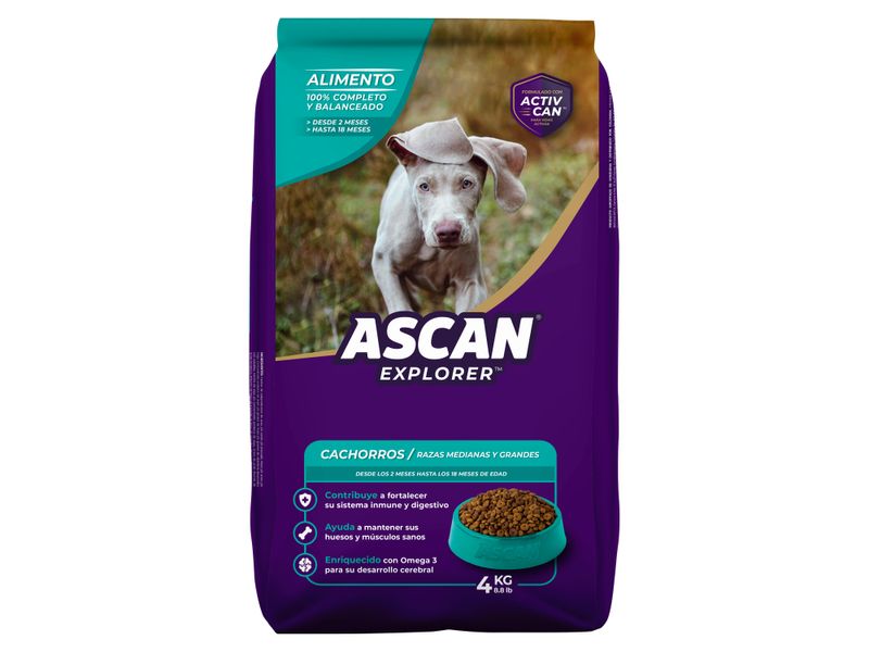 Alimento-Ascan-Para-Cachorro-4000gr-1-26819