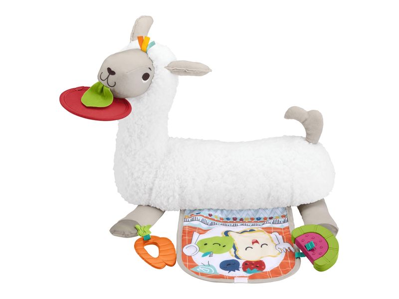 000000000070559322-UN-02