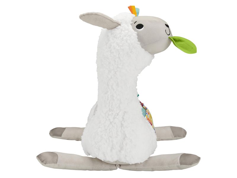 000000000070559322-UN-06