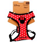 Arnes-Disney-Minnie-S-1-73904