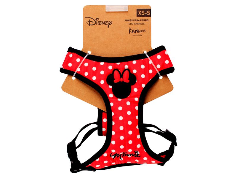 Arnes-Disney-Minnie-S-1-73904