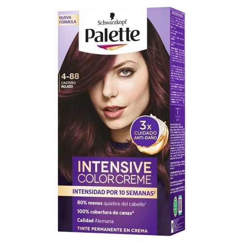 Tinte Palette Cc 4 88 Castaño Cenizo Dt -110ml