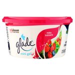 Mini-Gel-Glade-Mora-Radiante-70gr-1-69909