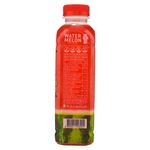 Bebida-Okf-Water-Sandia-Con-Aloe-500ml-4-70593