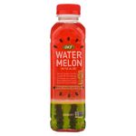 Bebida-Okf-Water-Sandia-Con-Aloe-500ml-1-70593