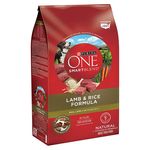 Purina-One-perro-Adulto-Lamb-Rice-3-6kg-3-28861