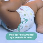 Pa-ales-Pampers-Baby-Dry-S4-128-Unidades-8-35559