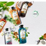 Shampoo-Herbal-Esences-Bio-Renew-Golden-Moringa-400Ml-11-26682