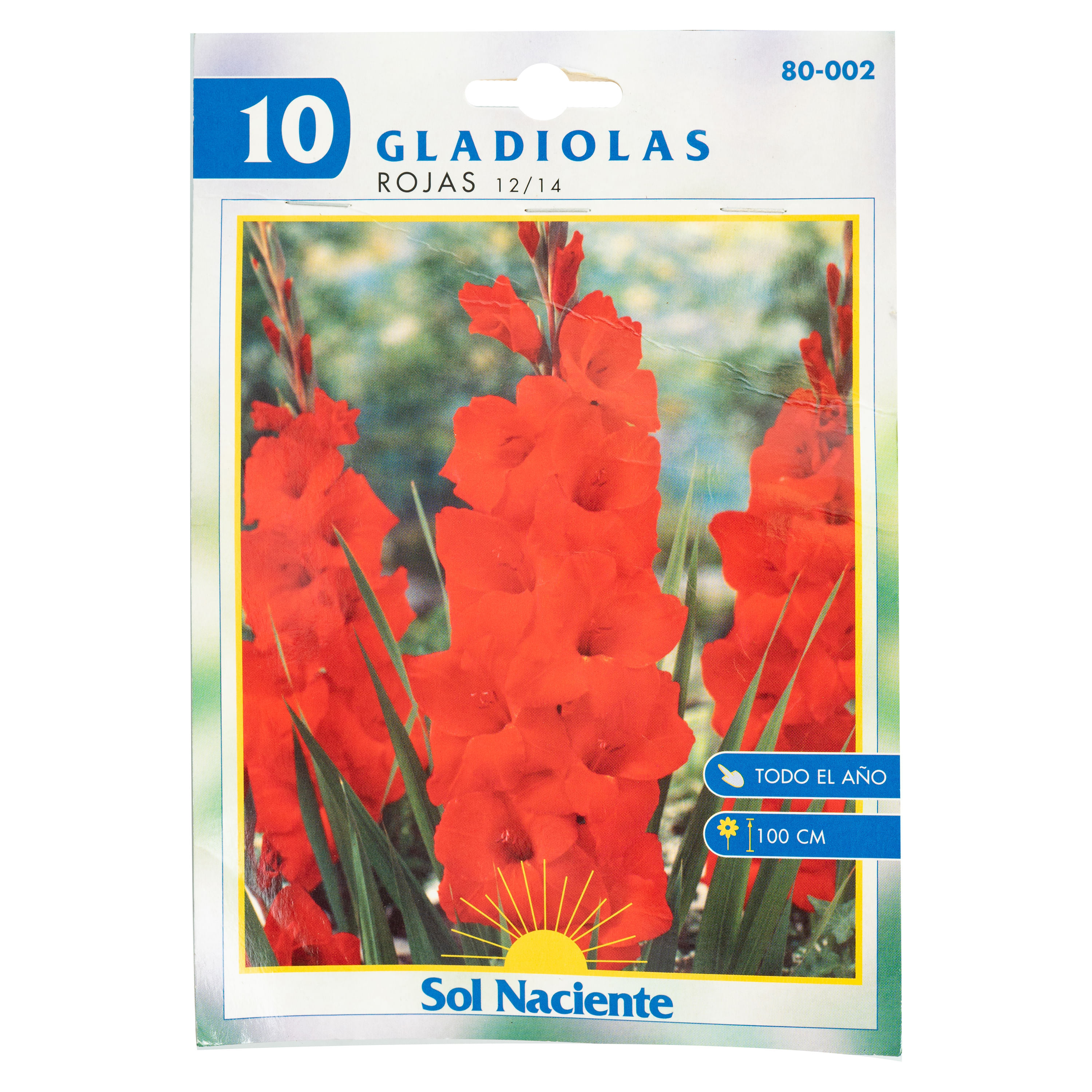 Comprar Paquete Sol Naciente 10 Bulbos Gladiola Roja | Walmart Costa Rica