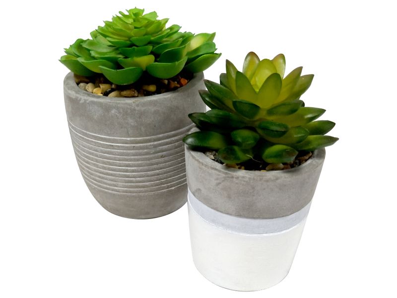 Suculentas-Con-Base-De-Barro-Gris-1-54141