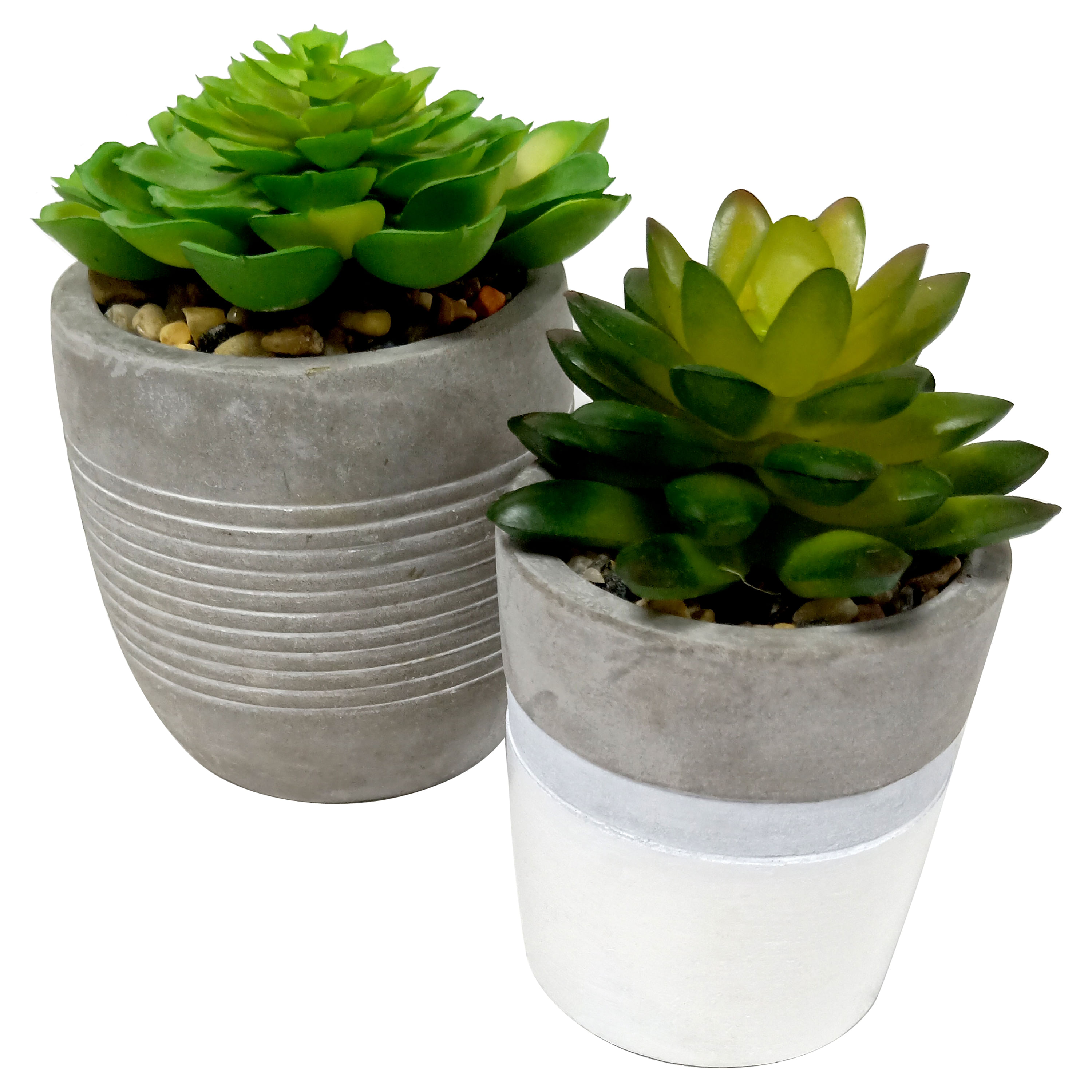 Suculentas-Con-Base-De-Barro-Gris-1-54141