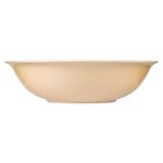 Bowl-Best-Melamine-Grande-B-sico-1-77242