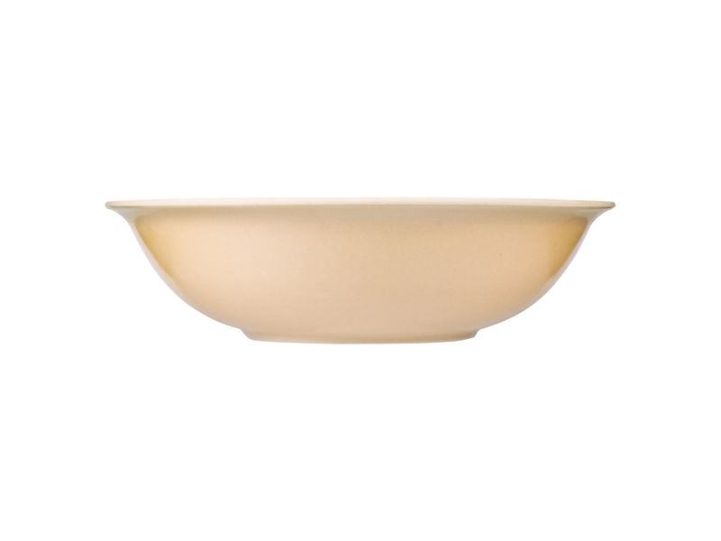 Bowl-Best-Melamine-Grande-B-sico-1-77242