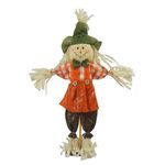 Adorno-Espantapajaro-36-cms-1-76722