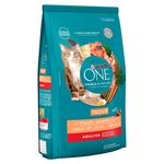 Alimento-Gato-Adulto-Purina-ONE-Pollo-Y-Salm-n-500gr-4-76929