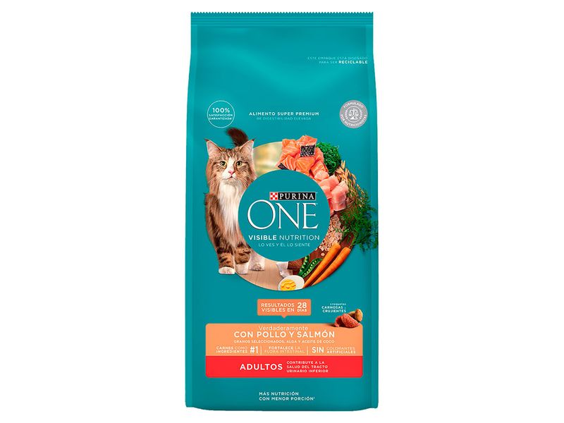 Alimento-Gato-Adulto-Purina-ONE-Pollo-Y-Salm-n-500gr-7-76929