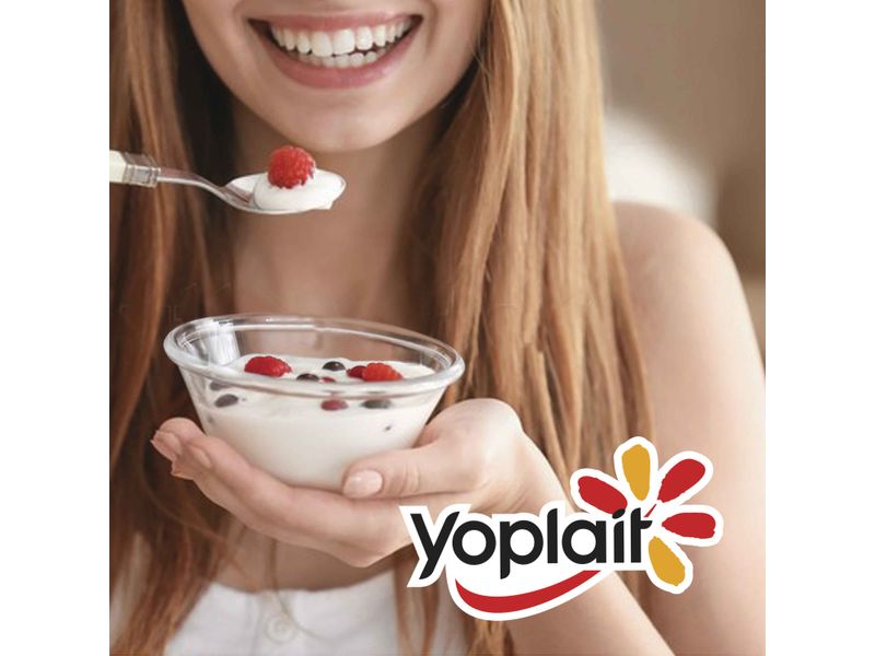 4-Pack-Yogurt-Topping-Yoplait-508gr-2-75615