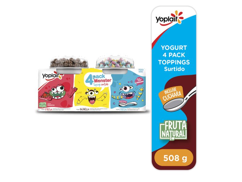 4-Pack-Yogurt-Topping-Yoplait-508gr-1-75615