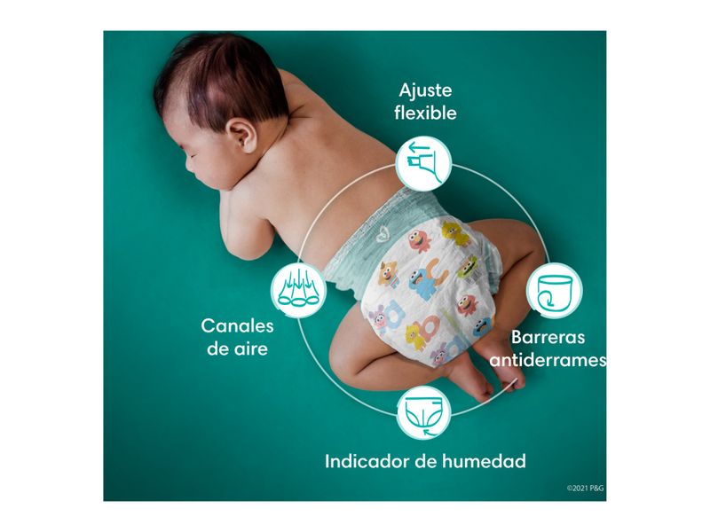 Pa-ales-Pampers-Baby-Dry-Talla-4-128-Unidades-6-35559