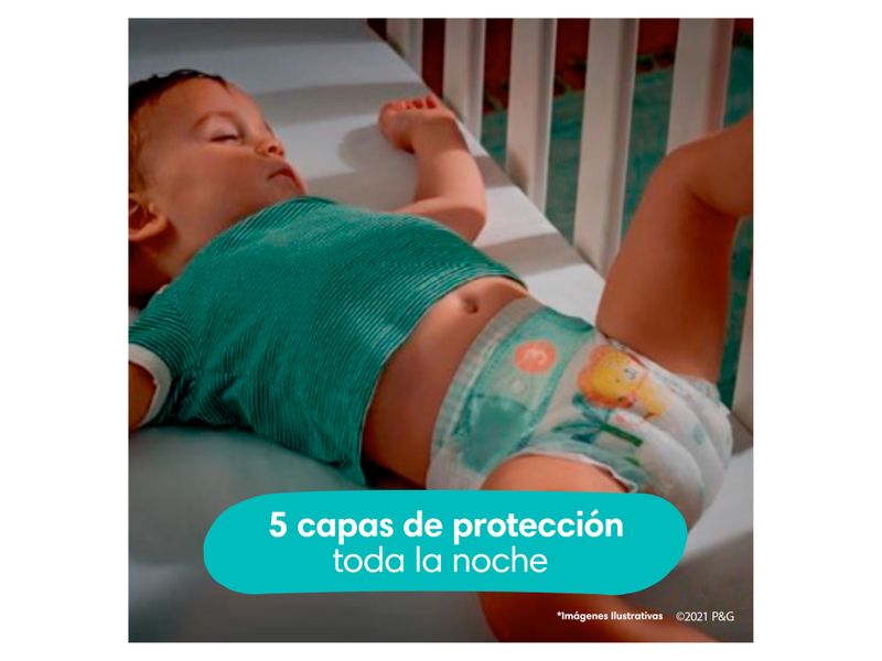 Pa-ales-Pampers-Baby-Dry-Talla-4-46-Unidades-7-28968