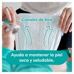 Pa-ales-Pampers-Baby-Dry-Talla-4-46-Unidades-12-28968