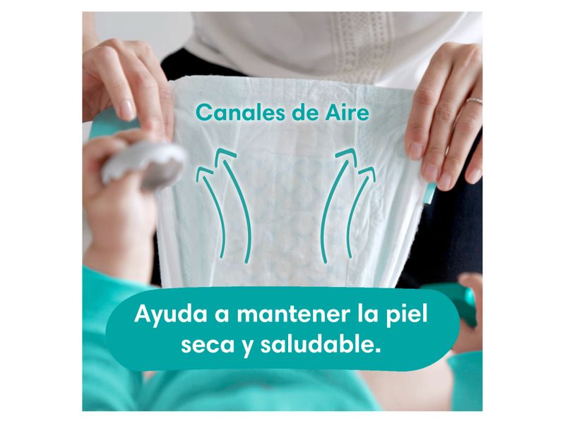 Pa-ales-Pampers-Baby-Dry-Talla-4-46-Unidades-12-28968