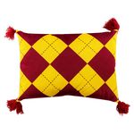 Cojin-Decorativo-Harry-Potter-48X33Cm-2-78375