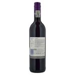 Vino-Two-Oceans-Tinto-Syrah-750ml-2-37186