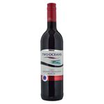 Vino-Two-Oceans-Tinto-Cabernet-Sau-750ml-1-37165