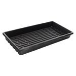 Ever-Green-Bandeja-De-Produccion-Plana-3-40943