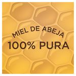 Miel-Abeja-La-Avejita-1000gr-4-33718
