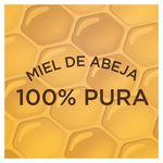 Miel-Abeja-La-Avejita-500gr-4-57548